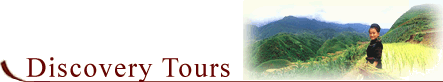 Discovery Tours