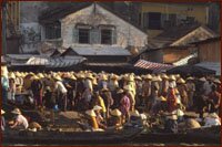 Hoi An Market