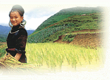 Sapa Girl