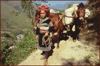 Trekking
