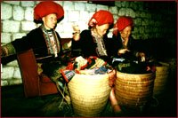 Red Dao Minority