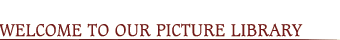 Welcome to our Picture Library