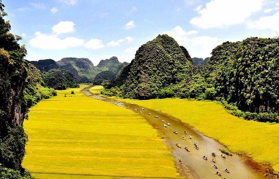 Động Tam Cốc