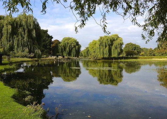 Công viên Bushy Park