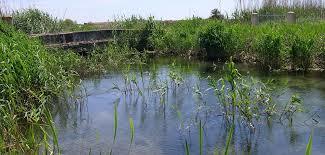 Parc Natural de s'Albufera de Mallorca