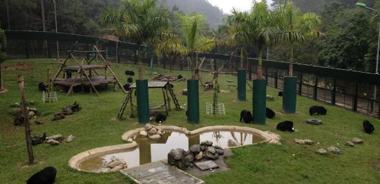 Vietnam Bear Sanctuary