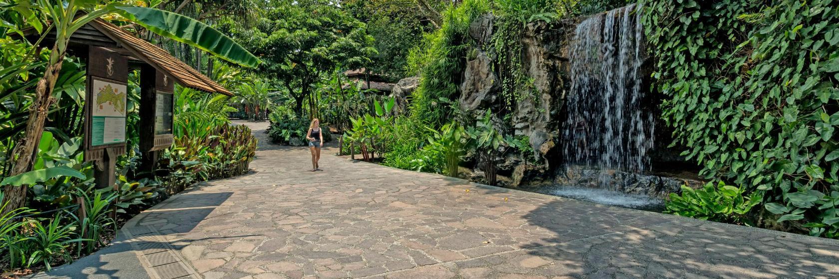 Vườn bách thảo Singapore