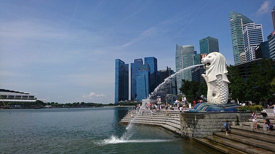 Công viên Sư tử biển
