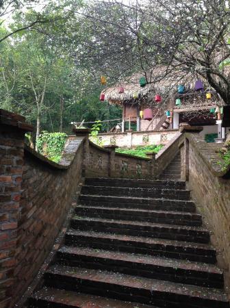 The Muong's Culture Museum